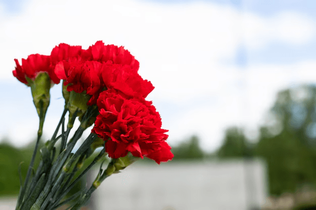 How to take part on 9 May: London ceremony and virtual march
