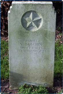 Vladimir Dushin